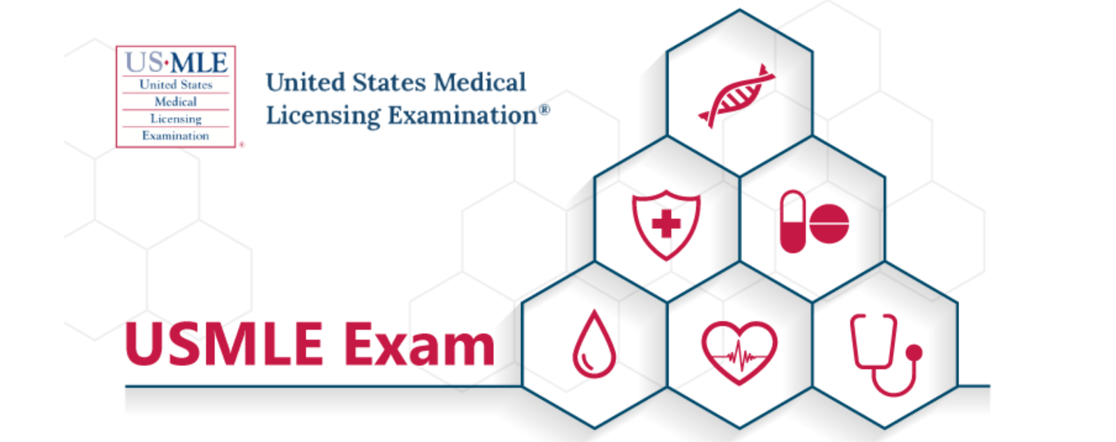 What is the USMLE?